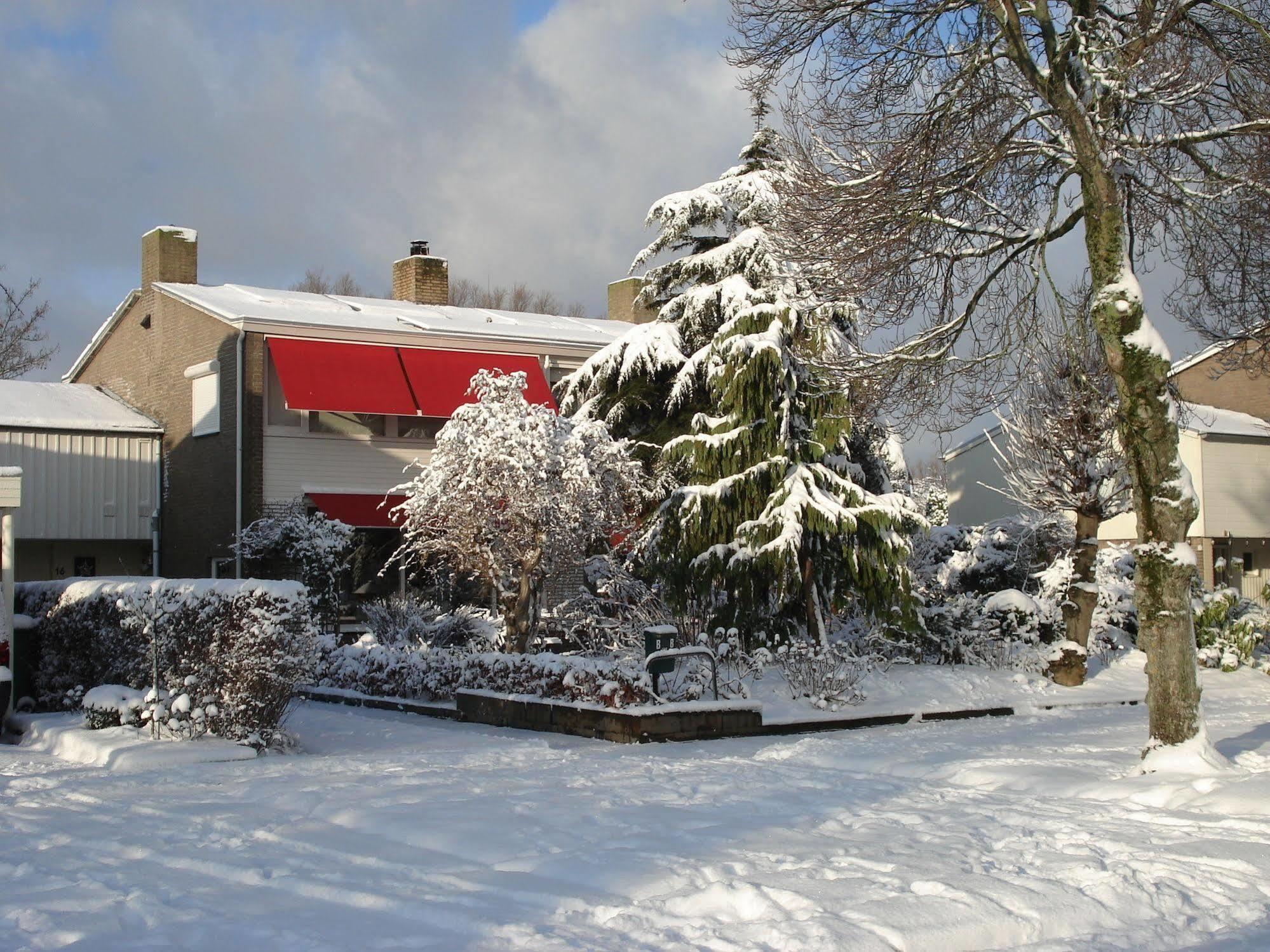 הרלינגן Bed And Breakfast Oosterpark מראה חיצוני תמונה